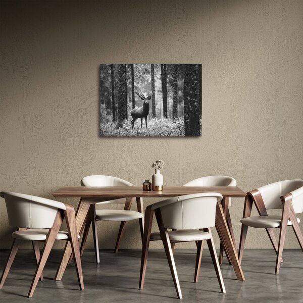 Slika - Jelen u šumi 2, crno-bijela (70x50 cm)