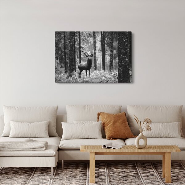 Slika - Jelen u šumi 2, crno-bijela (90x60 cm)