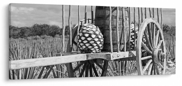Slika - Prikolica, crno-bijela (120x50 cm)