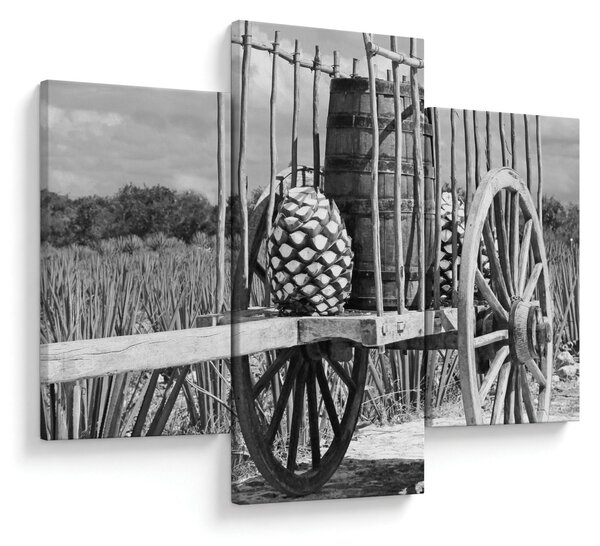 Slika - Prikolica, crno-bijela (90x60 cm)