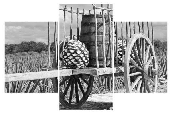 Slika - Prikolica, crno-bijela (90x60 cm)