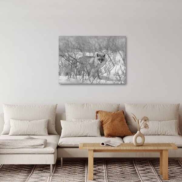 Slika - Lisac, crno-bijela (70x50 cm)