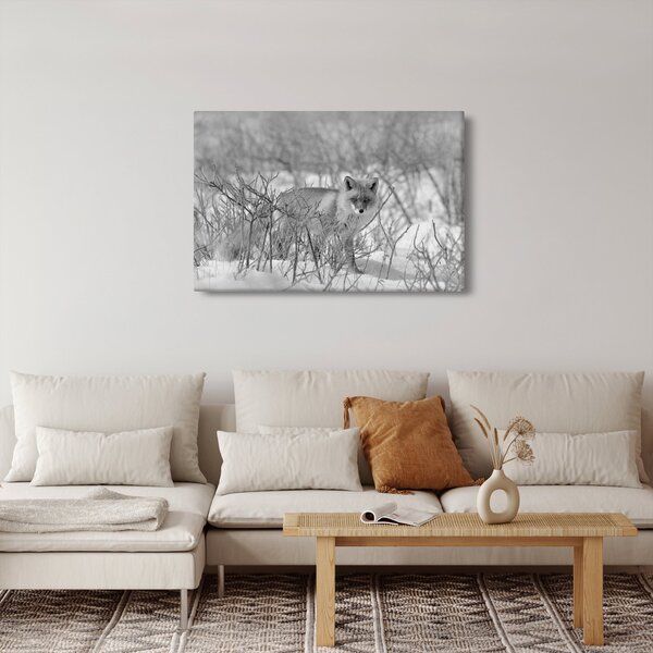 Slika - Lisac, crno-bijela (90x60 cm)