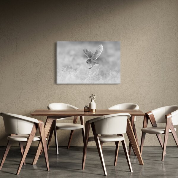 Slika - Sova, crno-bijela (90x60 cm)