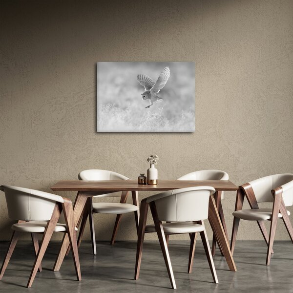 Slika - Sova, crno-bijela (70x50 cm)