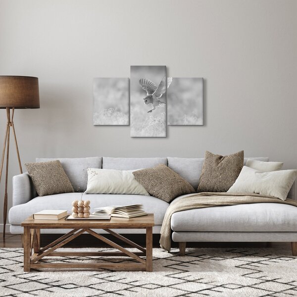 Slika - Sova, crno-bijela (90x60 cm)
