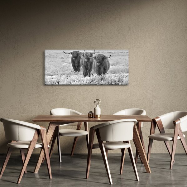 Slika - Škotske krave, crno-bijela (120x50 cm)
