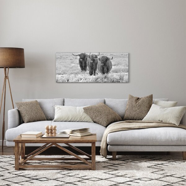Slika - Škotske krave, crno-bijela (120x50 cm)