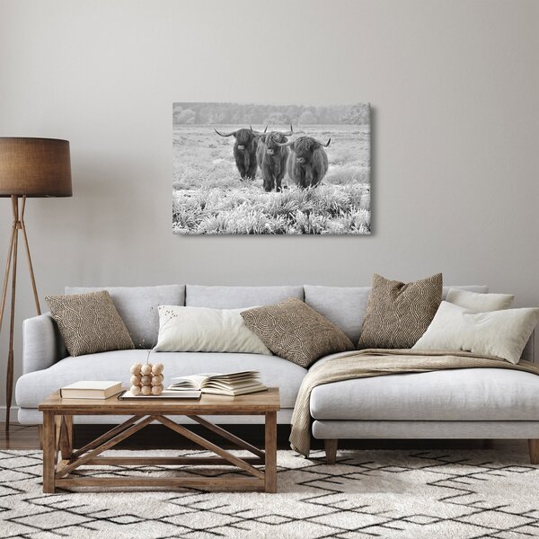 Slika - Škotske krave, crno-bijela (90x60 cm)