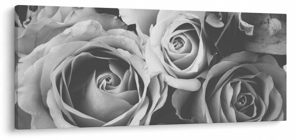 Slika - Ruža, crno-bijela (120x50 cm)