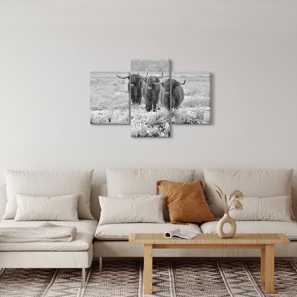 Slika - Škotske krave, crno-bijela (90x60 cm)