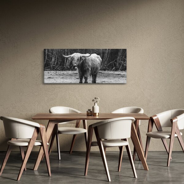 Slika - Škotska krava 3, crno-bijela (120x50 cm)