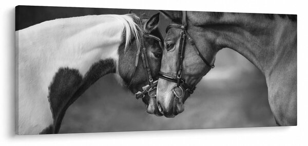Slika - Zaljubljeni konji, crno-bijela (120x50 cm)