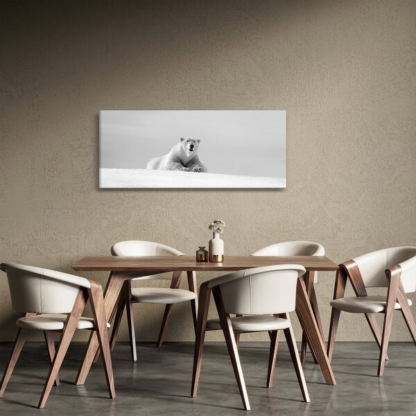 Slika - Polarni medvjed, crno-bijela (120x50 cm)