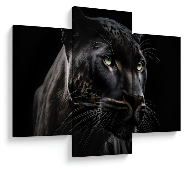 Slika - Crna pantera (90x60 cm)