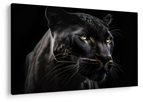 Slika - Crna pantera (90x60 cm)