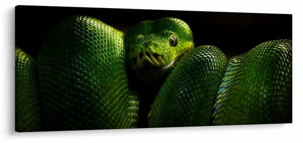 Slika - Zelena Zmija (120x50 cm)
