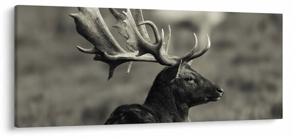 Slika - Jelen (120x50 cm)