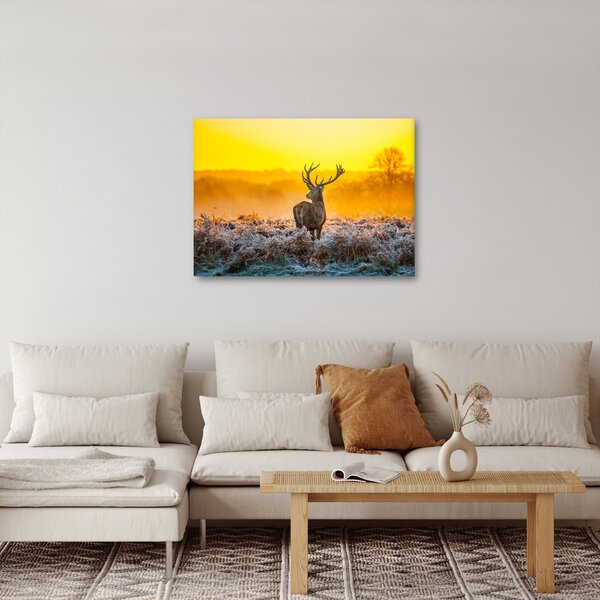 Slika - Jelen u izlasku sunca (70x50 cm)