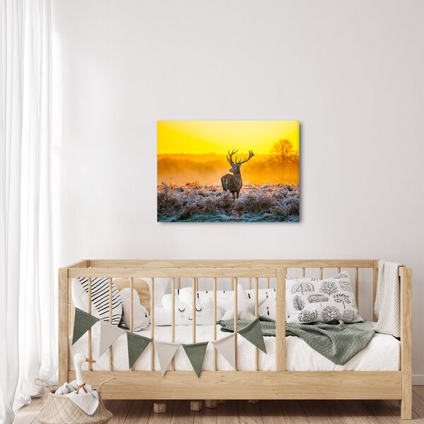Slika - Jelen u izlasku sunca (70x50 cm)