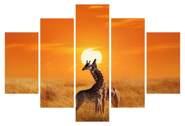 Slika - Žirafe u nacionalnom parku Serengeti (150x105 cm)