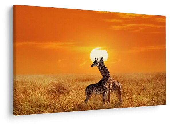 Slika - Žirafe u nacionalnom parku Serengeti (90x60 cm)