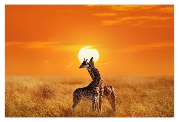 Slika - Žirafe u nacionalnom parku Serengeti (90x60 cm)