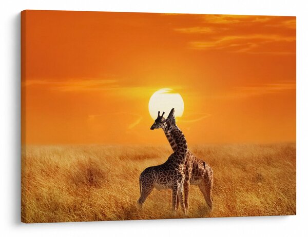 Slika - Žirafe u nacionalnom parku Serengeti (70x50 cm)