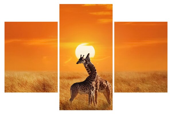 Slika - Žirafe u nacionalnom parku Serengeti (90x60 cm)