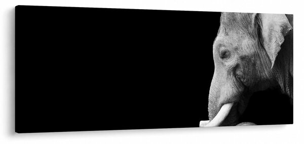 Slika - Slon (120x50 cm)