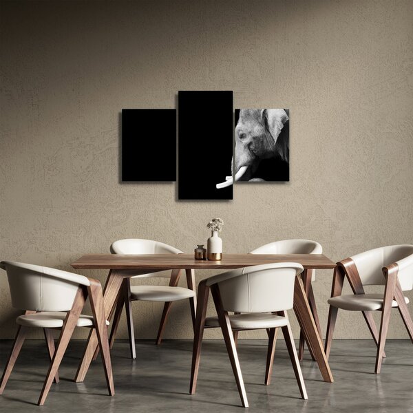 Slika - Slon (90x60 cm)