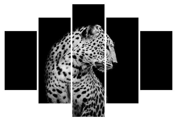 Slika - Leopard (150x105 cm)