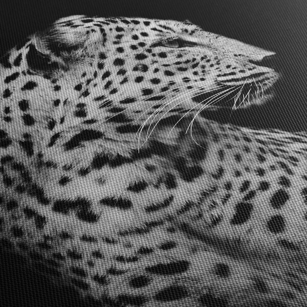 Slika - Leopard (90x60 cm)