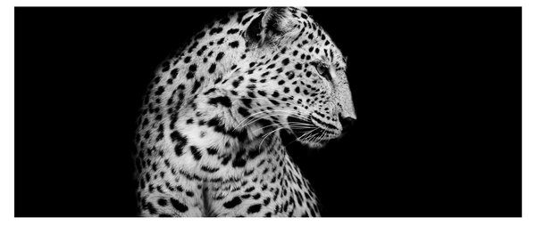 Slika - Leopard (120x50 cm)