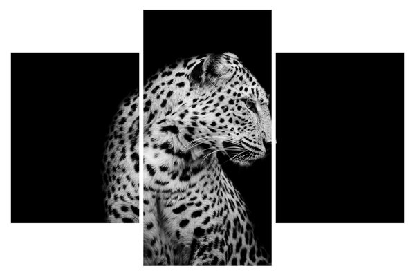 Slika - Leopard (90x60 cm)