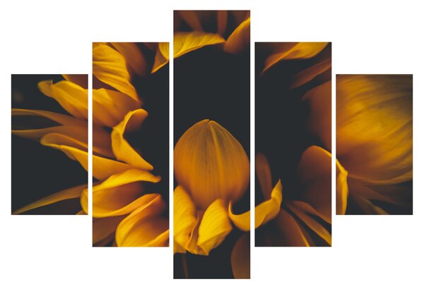 Slika - Suncokreti u crnoj pozadini (150x105 cm)