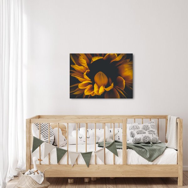 Slika - Suncokreti u crnoj pozadini (70x50 cm)