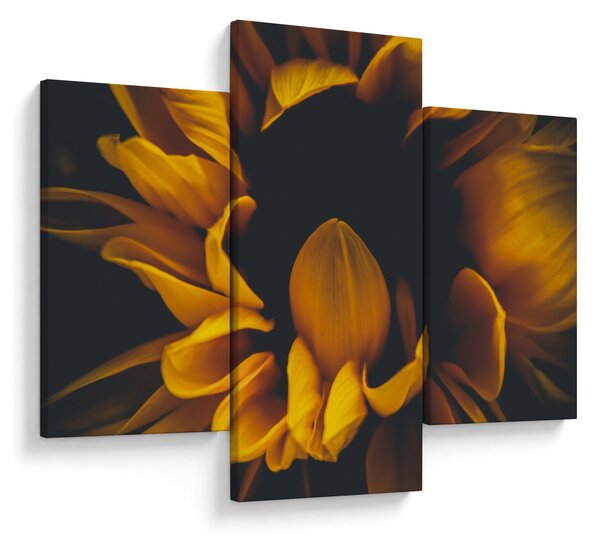 Slika - Suncokreti u crnoj pozadini (90x60 cm)