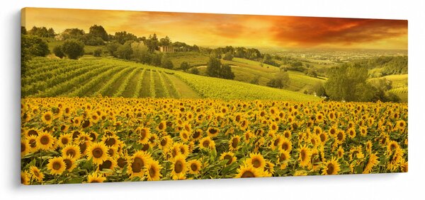 Slika - Polje suncokreta (120x50 cm)