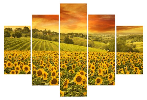 Slika - Polje suncokreta (150x105 cm)