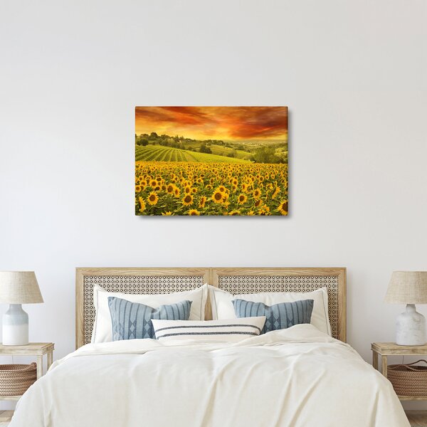 Slika - Polje suncokreta (70x50 cm)