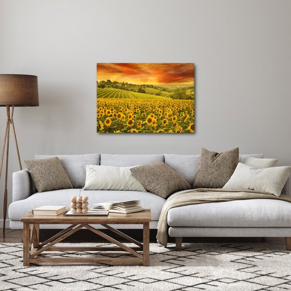 Slika - Polje suncokreta (70x50 cm)