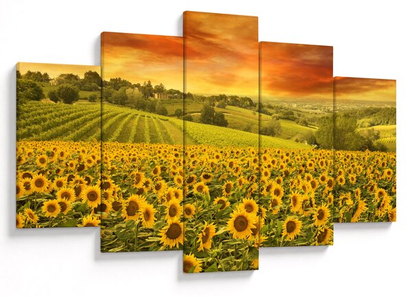 Slika - Polje suncokreta (150x105 cm)