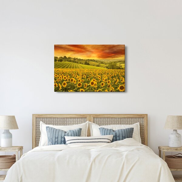 Slika - Polje suncokreta (90x60 cm)