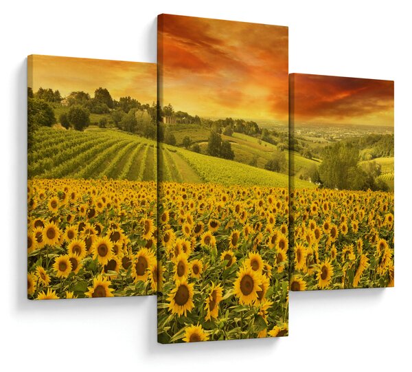 Slika - Polje suncokreta (90x60 cm)