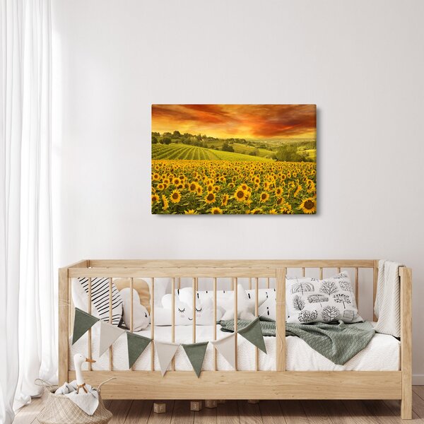 Slika - Polje suncokreta (90x60 cm)
