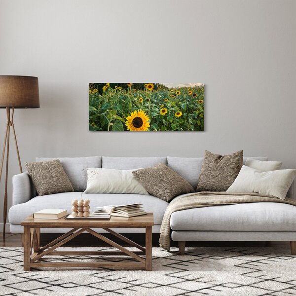 Slika - Polje suncokreta II. (120x50 cm)