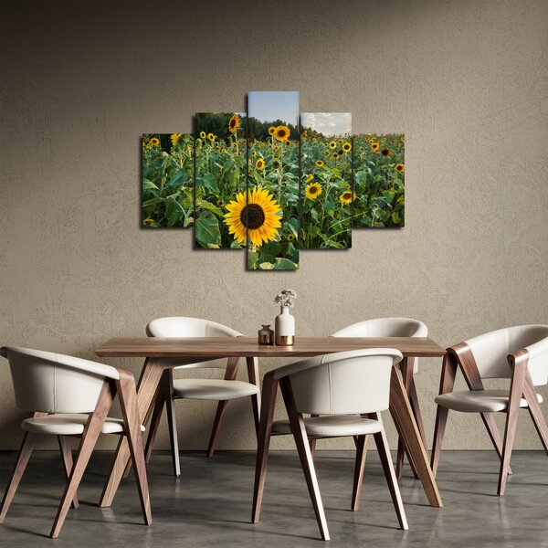 Slika - Polje suncokreta II. (150x105 cm)