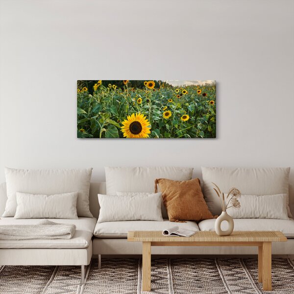 Slika - Polje suncokreta II. (120x50 cm)