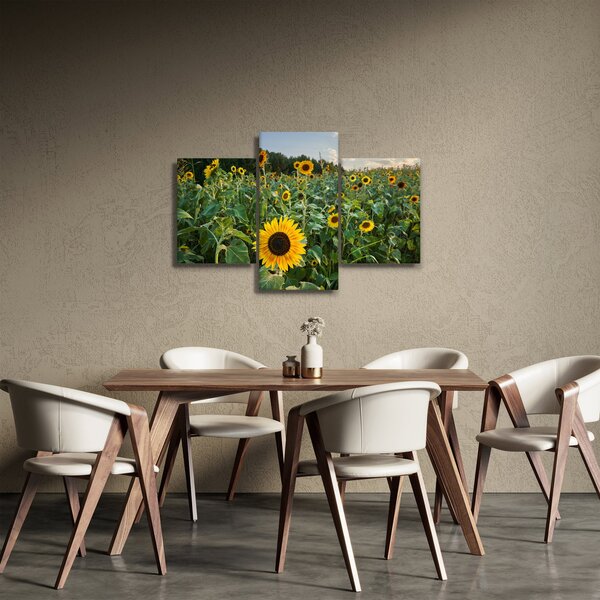 Slika - Polje suncokreta II. (90x60 cm)
